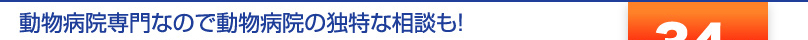 動物病院専門なので医業の独特な相談も！