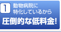 1 動物病院に特化しているから圧倒的な低料金！