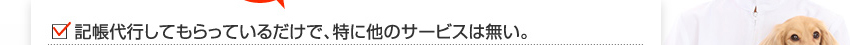 記帳代行してもらっているだけで、特に他のサービスは無い。