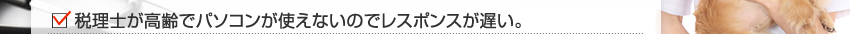 税理士が高齢でパソコンが使えないのでレスポンスが遅い。